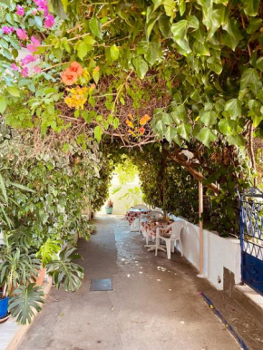 Afroditi Pension - Dodekanes Archángelos